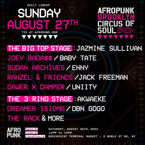 afropunk brooklyn 2023|afropunk 2023 nyc.